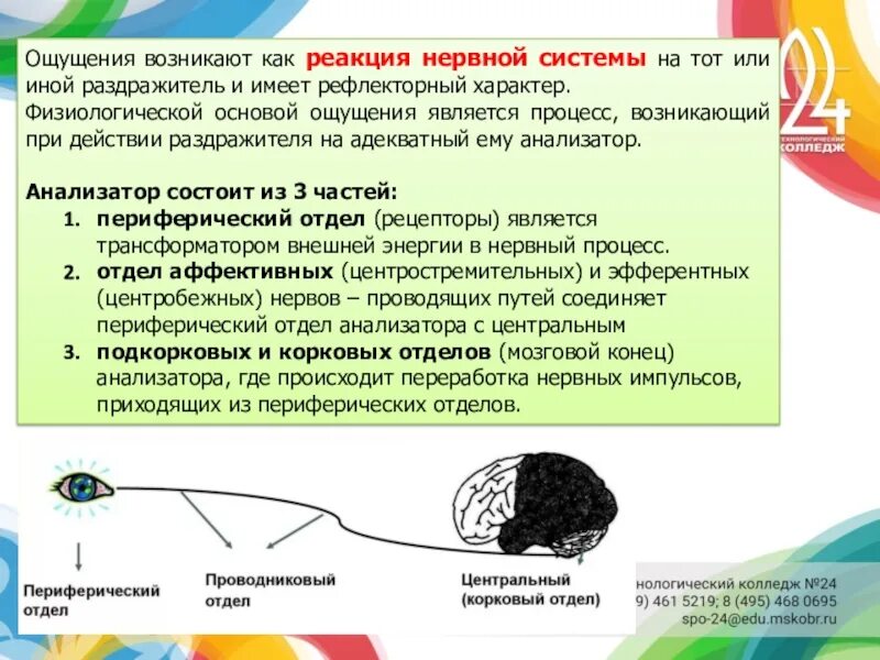 12 ощущается. Рефлекторная природа ощущений в психологии. Как возникает ощущение. Рефлекторный характер ощущений. Реакция нервной системы.