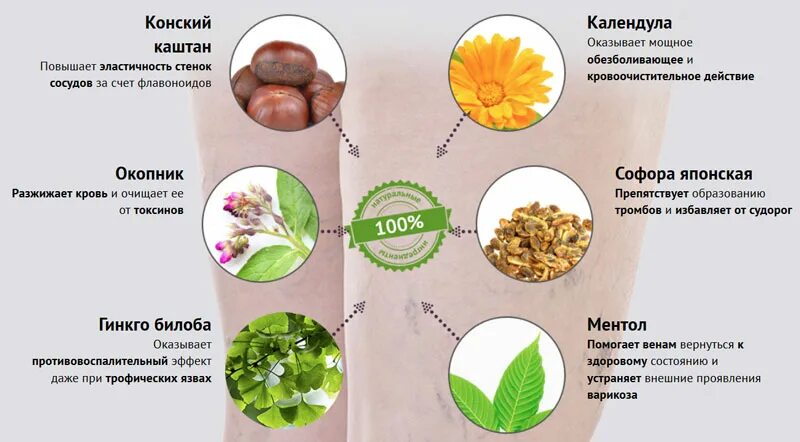 Кровь растительные препараты. Травы разжижающие кровь. Перечень продуктов разжижающих кровь. Какие травы разжижают кровь. Какие растения разжижают кровь.