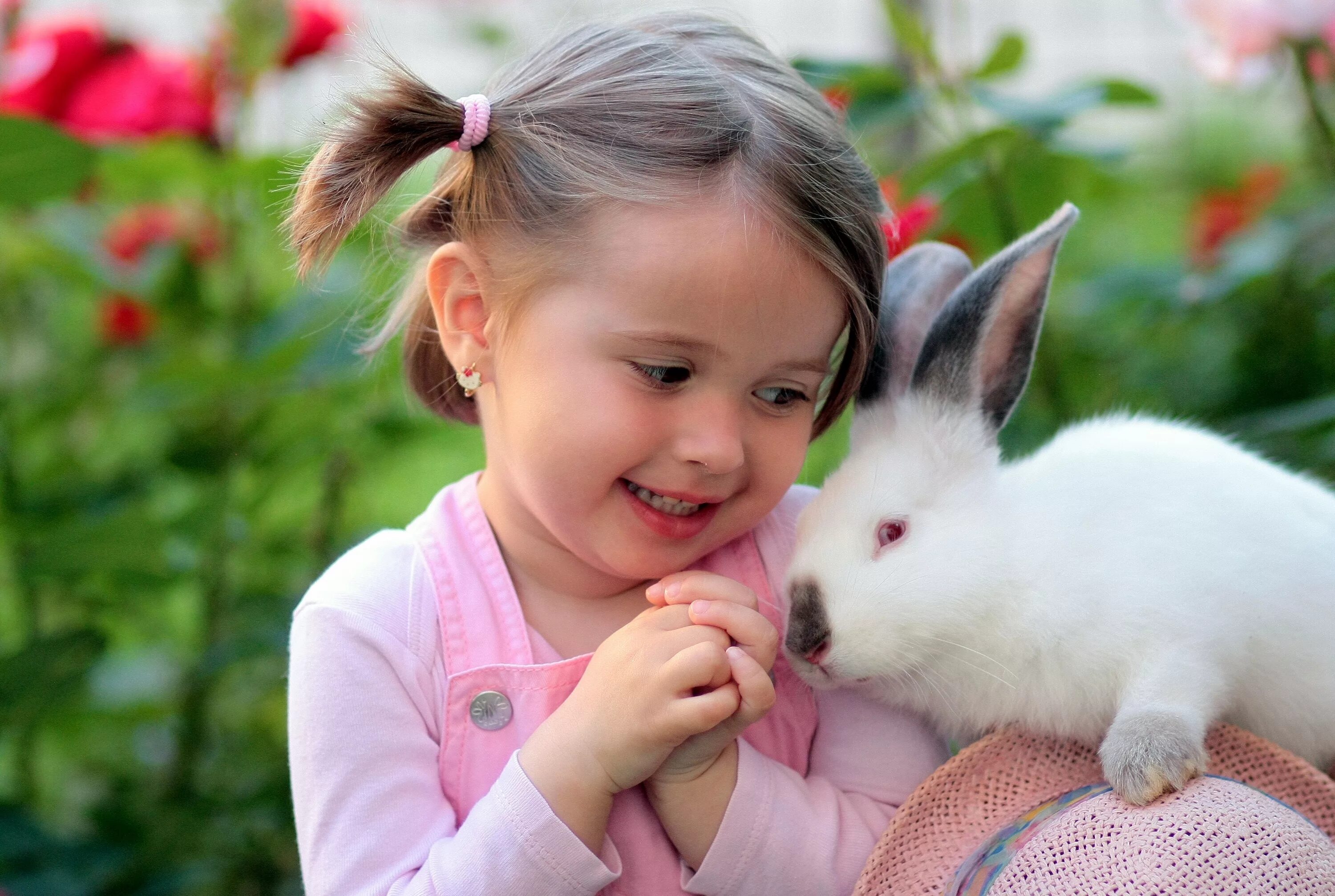 Домашние обитатели. Домашние животные для детей. Девочка с кроликом. Кролик для детей. Милые домашние животные.