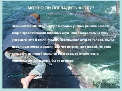 Развеять миф