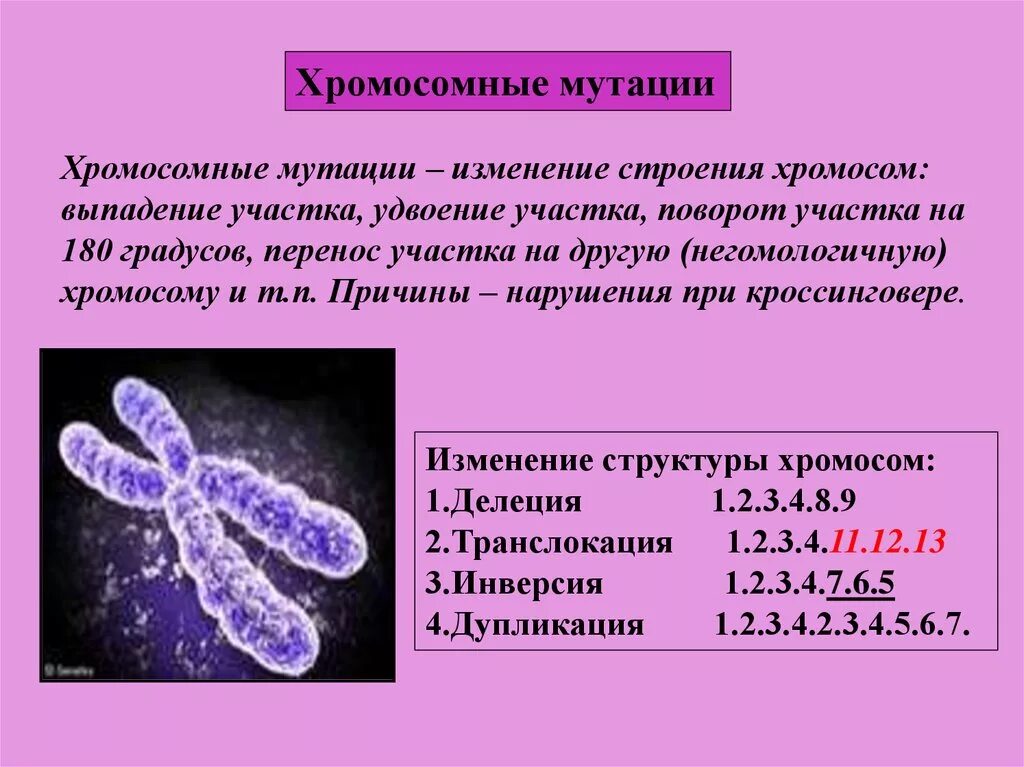 Геномные мутации связаны с изменениями. Тип мутаций изменяющие структуру хромосом. Хромосомные мутации. Хромосомная изменчивость. Типы хромосомных мутаций.