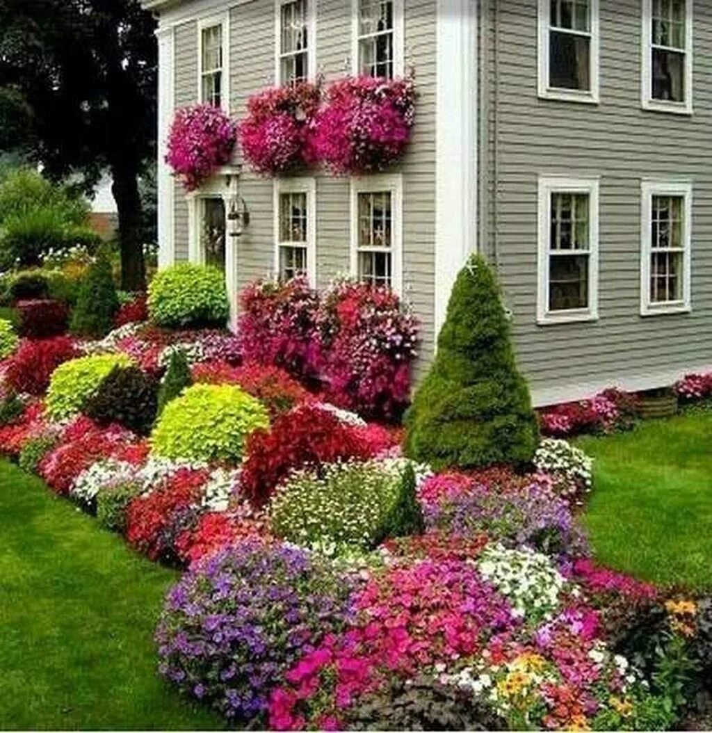 Красивые цветы на дачу фото. Палисадник Энфилд. Цветники в палисадниках и садах. Клумба Бабушкин палисадник. Палисад Англия.