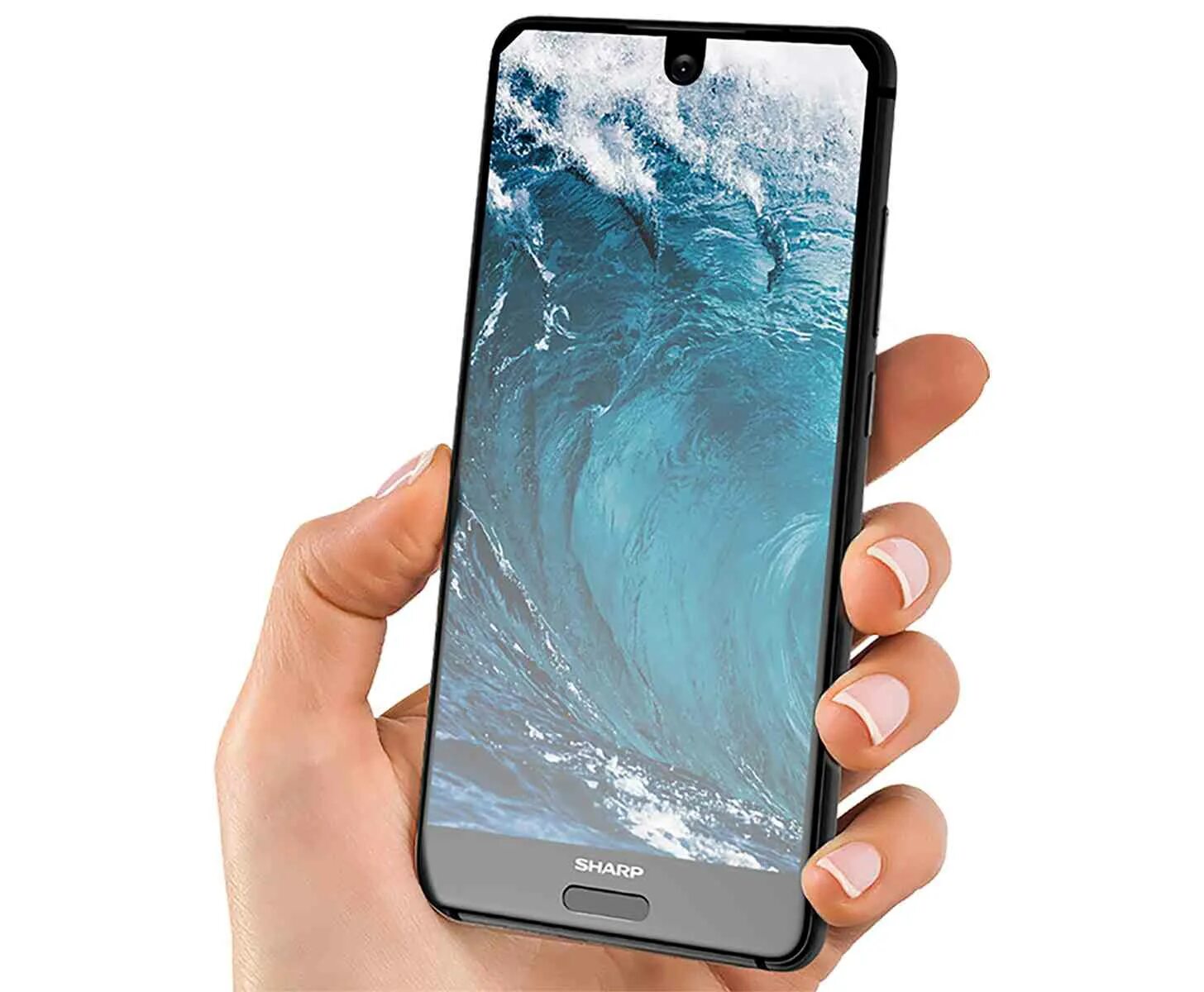 Смартфон sharp aquos. Sharp aquos s2. sharp aquos c10 s2. телефон sharp aquos s2. sharp aquos s2 чехол.