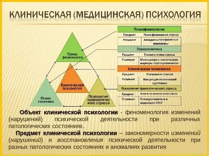 Предмет общей психологии это