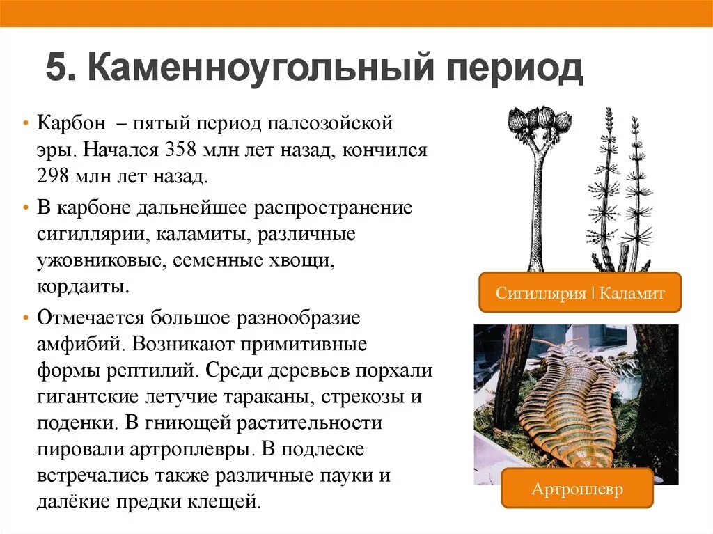 Карбон период палеозойской эры. Карбон период палеозойской эры. Карбон период палеозойской эры климат. Карбон период палеозойской эры. Карбон период палеозойской эры.