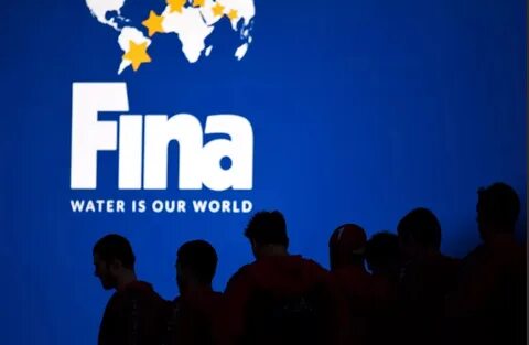 Фина организация