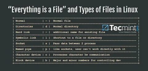 File type name