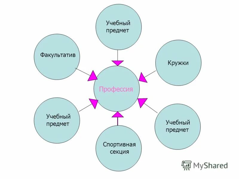 Выбирать факультативные учебные предметы. Учебные предметы. Учебный предмет человек. Кружка по профессиям.