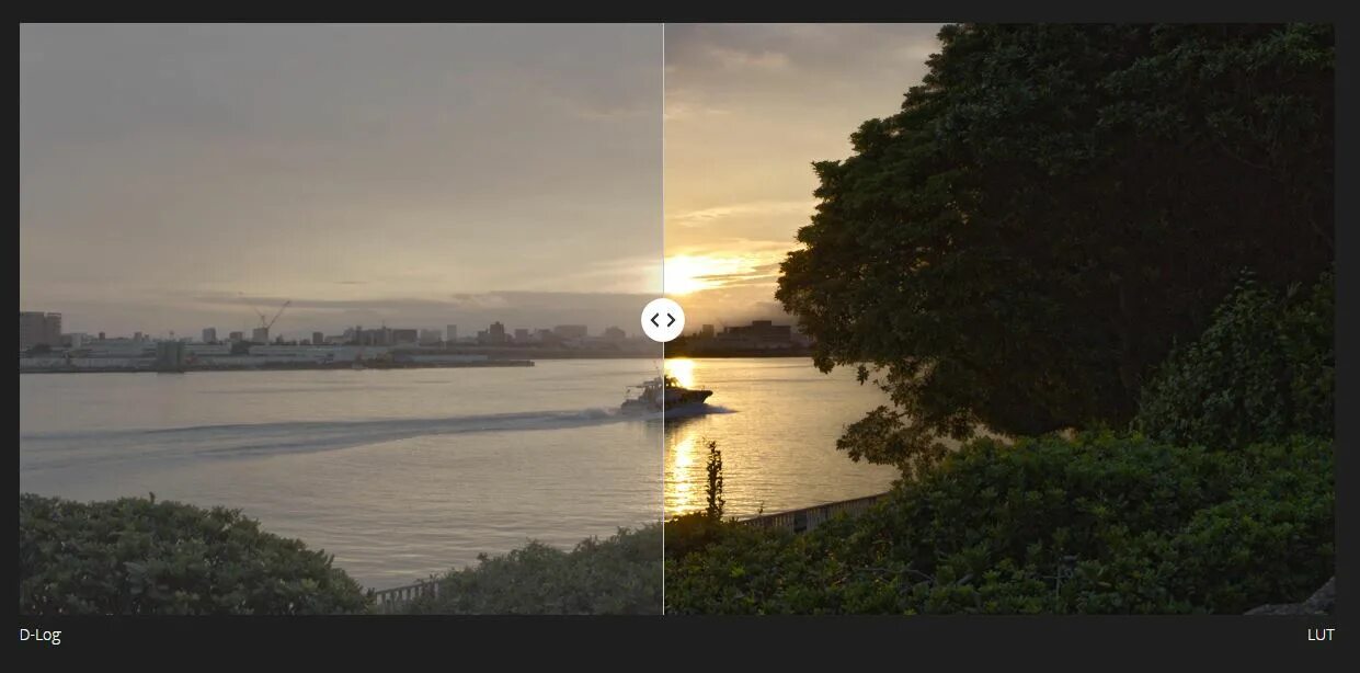 Динамический диапазон матрицы. Hdr sdr отличия. Динамический диапазон матрицы фотоаппарата. Динамический диапазон камеры. Широкий динамический диапазон.