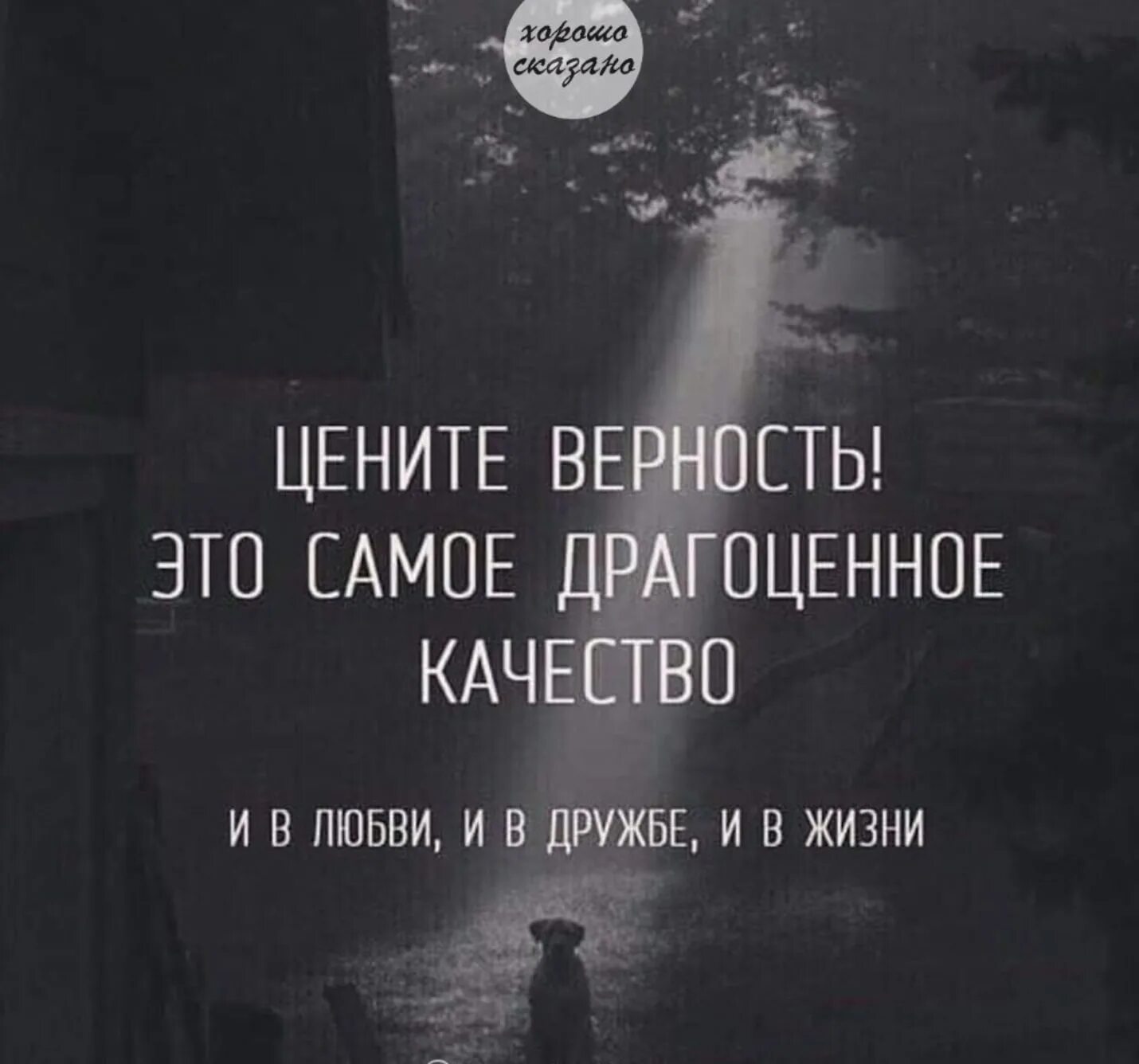 Цените преданных. Цените верность это самое драгоценное. цитаты про верность. ценю верность и преданность. верность самое драгоценное качество в любви дружбе и жизни.