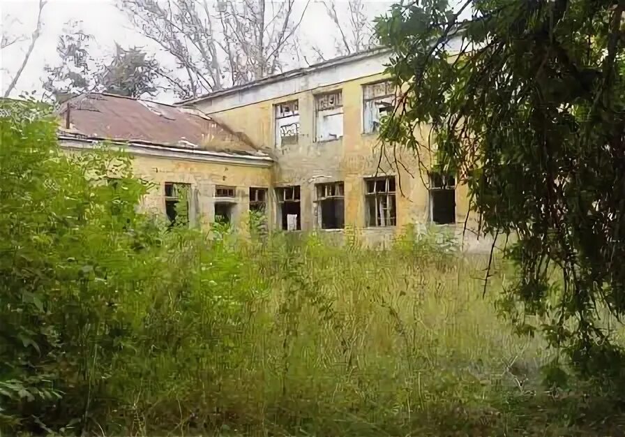 Схема парка куракина дача. Школа алeна. Школа куракина. Художественная гимнастика алены куракиной. Школа куракина.