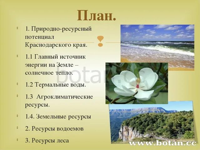 Какие богатства есть в краснодарском крае. Природные ресурсы Краснодарского края. Природно-ресурсный потенциал Краснодарского края. Природные богатства Кубани. Богатства Краснодарского края.