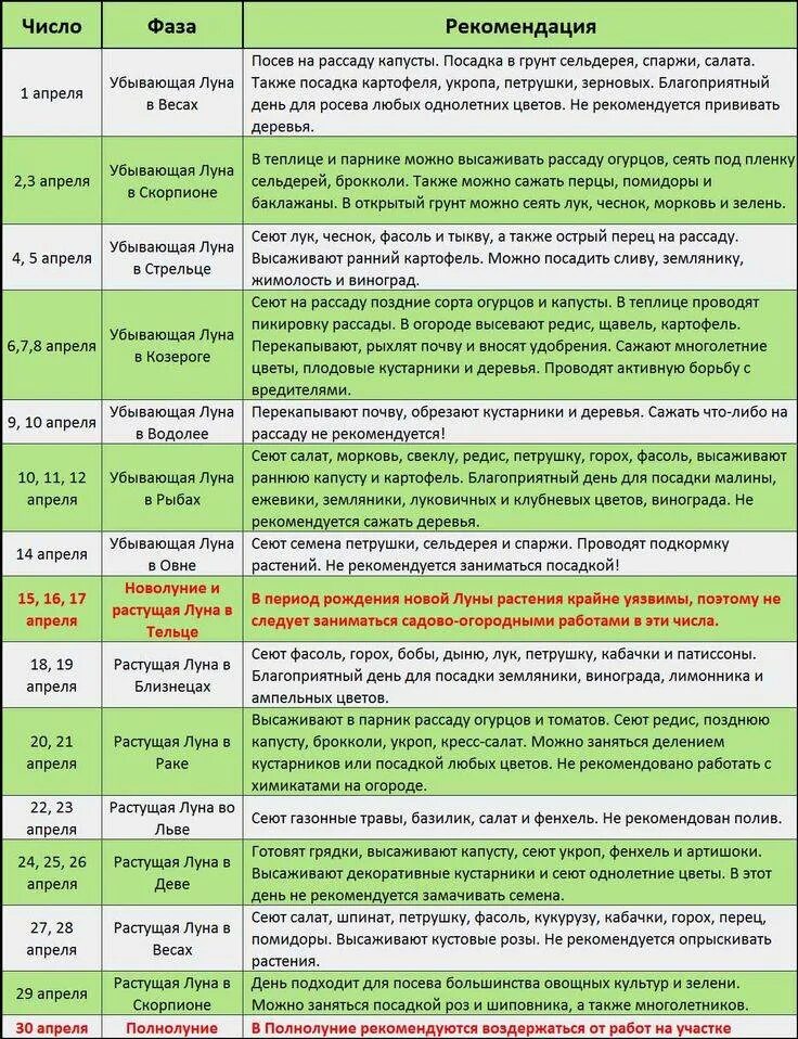 Какого числа садят