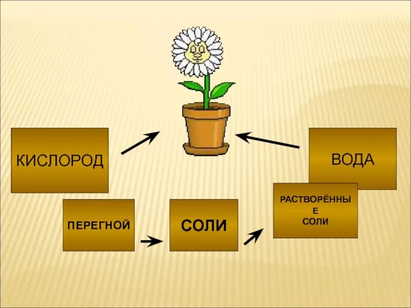 Схема 3 класса