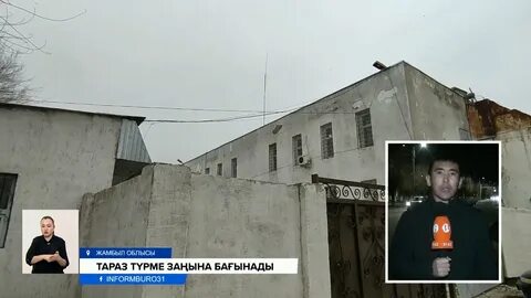 Помпа - үлкен киска