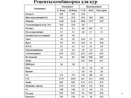Домашний комбикорм для несушек
