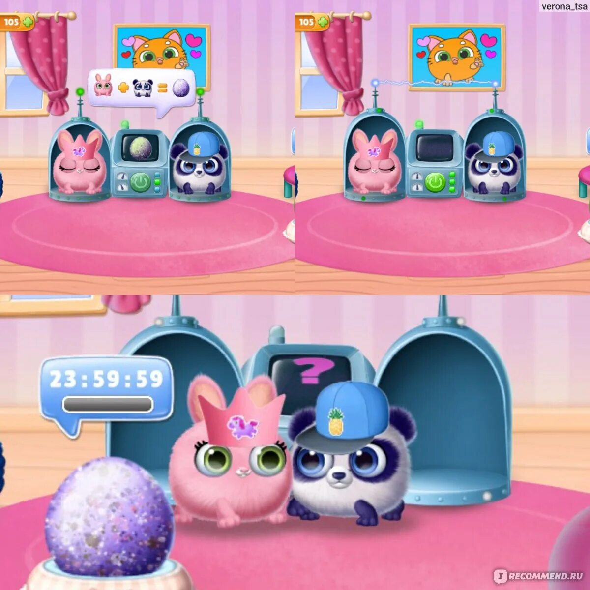 Круглые питомцы игра. Котики из яиц игра. Игры с яйцами вылупляются. Игры где вылупляются из яиц. Круглые питомцы игра.