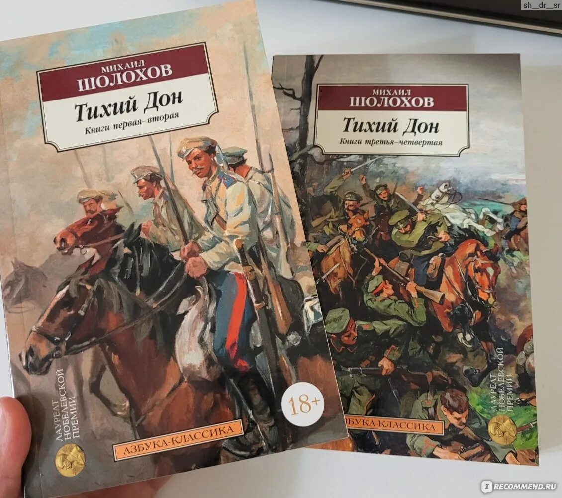 Рассказ родинка шолохов аудиокнига. Загадки Шолохова. Тихий Дон книга третья.