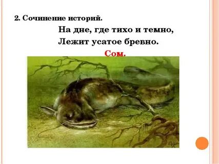 Где дне