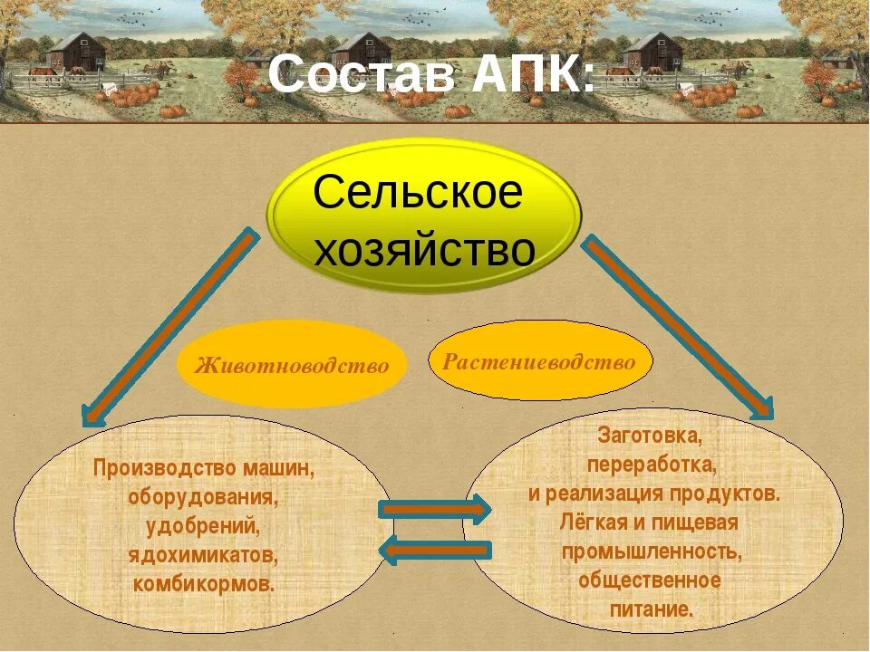 Состав агропромыш комплекса России. Агропромышленный комплекс России АПК 9 класс. Состав АПК сельское хозяйство. АПК Растениеводство и животноводство. Схема связи растениеводства и животноводства и промышленности