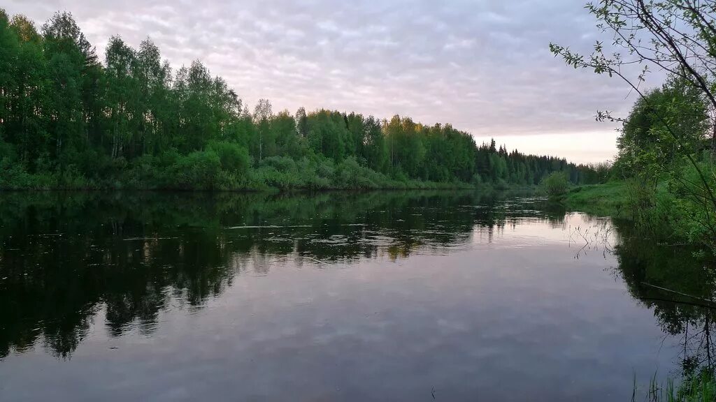 весляна приток камы