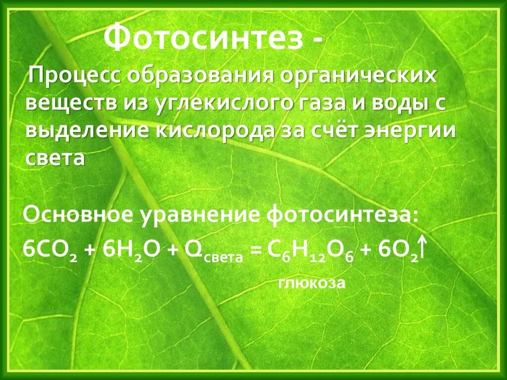 В результате фотосинтеза кислород. Фотосинтез. Зина фото. Процесс фотосинтеза. Фотосинтез картинки.