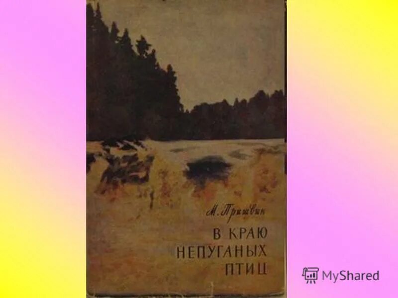 Край непуганных
