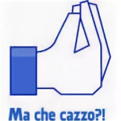 Cazzo