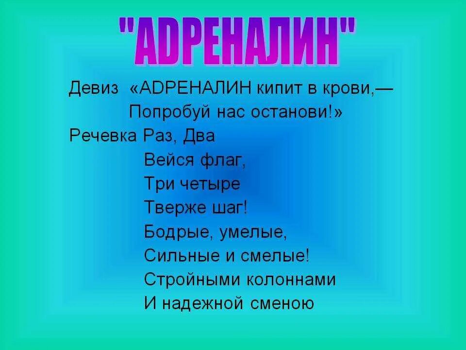 Девиз команды современные