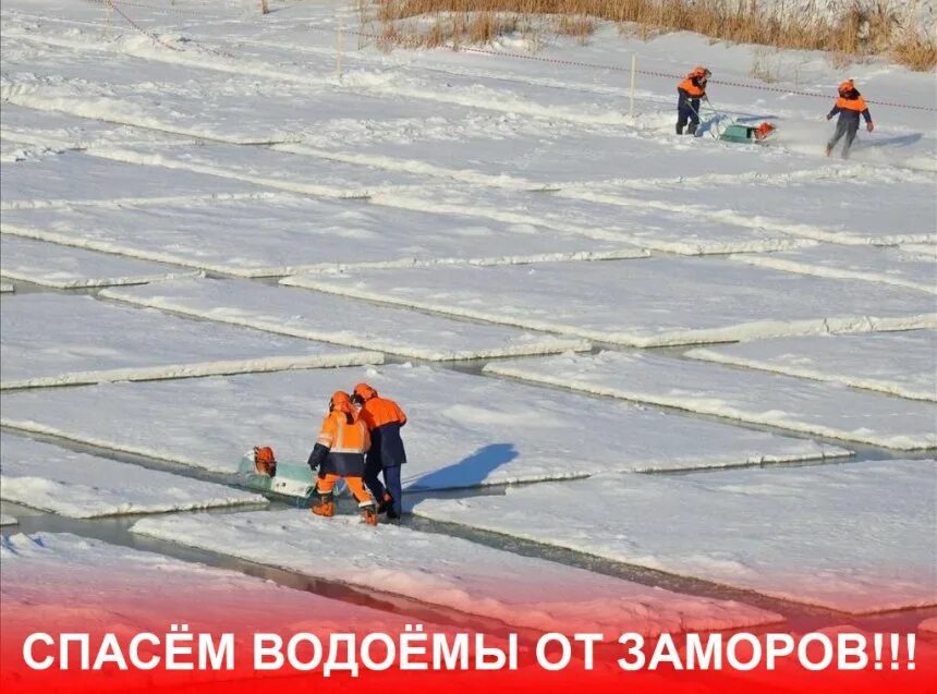 Спасти водоем