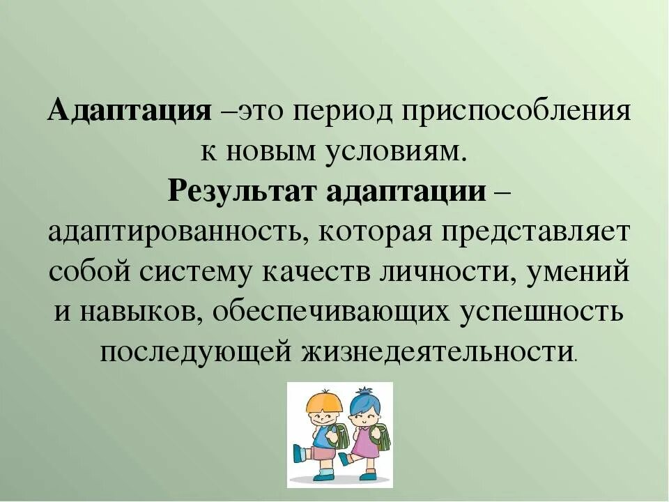 Помогут адаптироваться