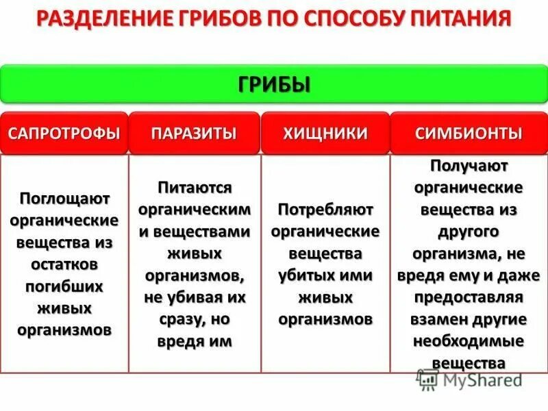 Организмы потребляющие органические вещества называются