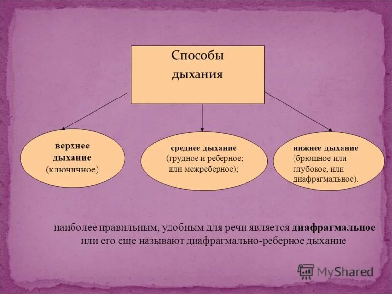 Ключичное дыхание. Верхнее ключичное дыхание. Грудной тип дыхания. Среднее дыхание. Среднее дыхание.