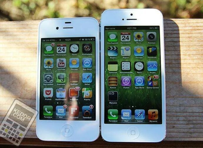 Какой айфон китайский. Iphone 5 и 5s отличия. Лучшие айфоны среднего класса от 6 до 12. Tiny iphone фото.