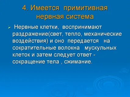 Примитивные нервные системы