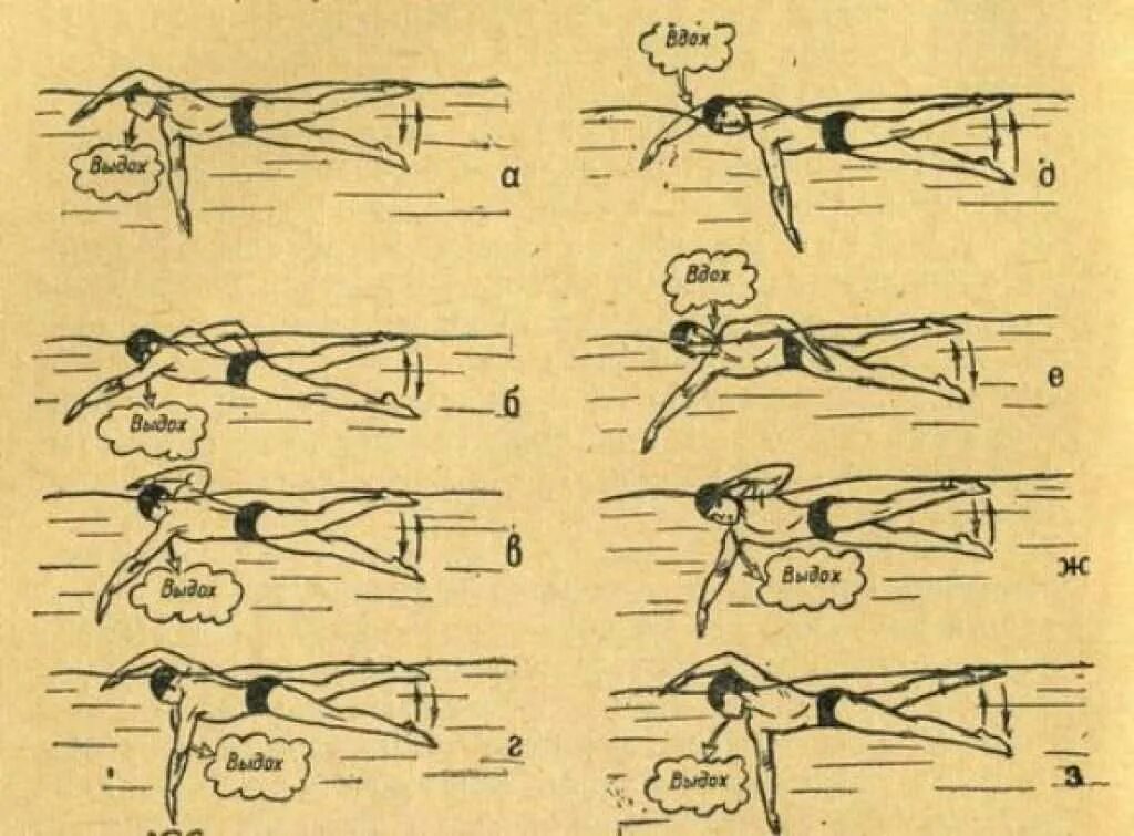Дыхание при плавании кролем. Стиль плавания Кроль техника. Плавание кролем техника дыхание для начинающих. Техника плавания кролем пошагово. Техника плавания кролем дыхание.
