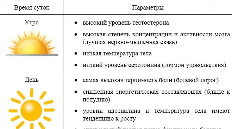 Днем ли или вечером. В какое время лучше заниматься спортом. Оптимальное время для тренировок. Когда лучше тренироваться утром или вечером. Лучшее время для тренировок.