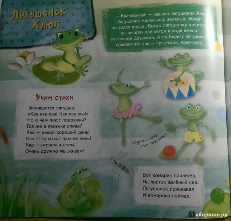 А по утру лягушки квакали. Стихотворение про лягушку. Стих про лягушонка для детей. Стих про лягушку для детей. Стихотворение про жабу.