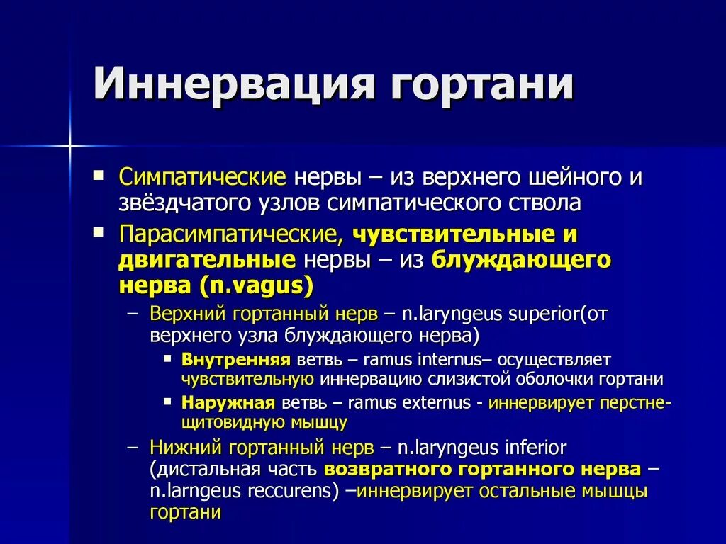 Возвратный гортанный нерв иннервация. Иннервация мышц гортани. Мышцы гортани иннервируются.