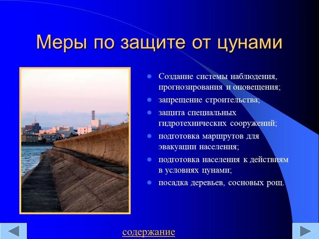 Цунами способы защиты. Меры защиты от цунами. способы защиты населения от цунами. мероприятия по защите населения при цунами. меры по защите населения от цунами.