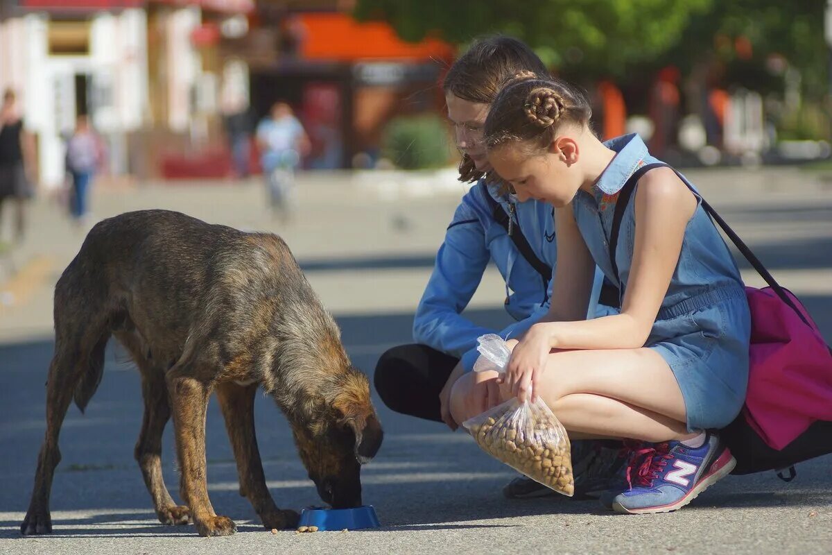 Добро фото. Добрые поступки. Добрые дела и поступки. Добрые поступки людей. Доброта к людям.