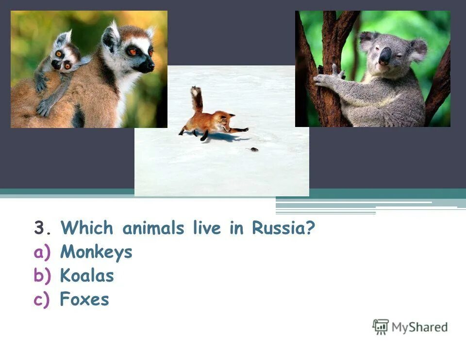 Which animals is better. Extinct animals list. What animal are you. английский 4 класс стр 14,15 there are a lot of russian tales about animals compare the animals. Animals living in desert.