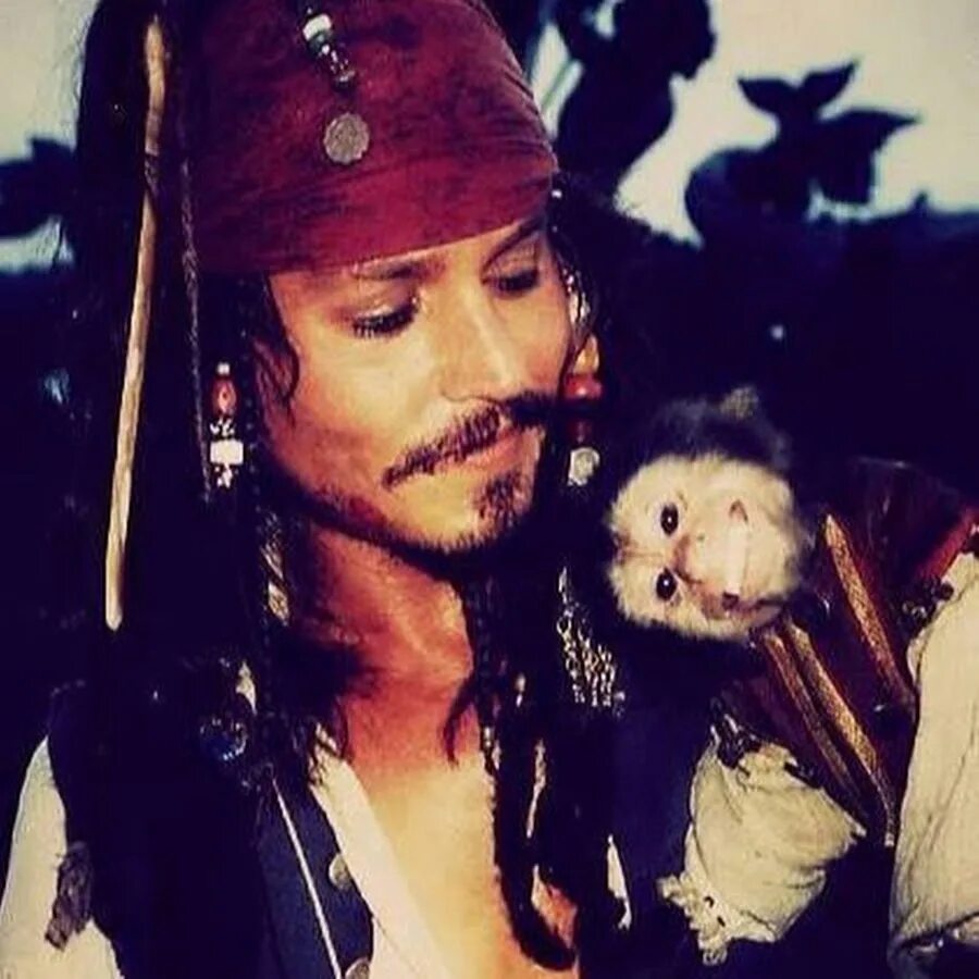 Обезьяна джек. Джонни Депп пираты Карибского моря. Капитан Джек Воробей 2 часть. Капуцин Джек. Капитан Джек Воробей с обезьяной.