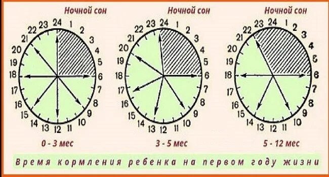 Сколько по времени кормить грудного. Кормление по часам. График кормления новорожденного по часам. График кормления грудничка по часам. График кормления новорожденного смесью по часам.