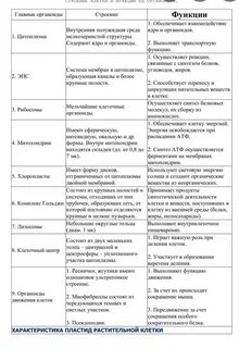Органоиды клетки название органоида функции особенности строения