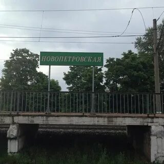 Новопетровское шаховская