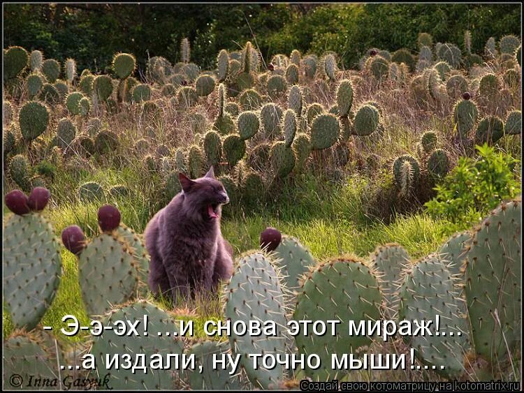 Не выйдет так и будет