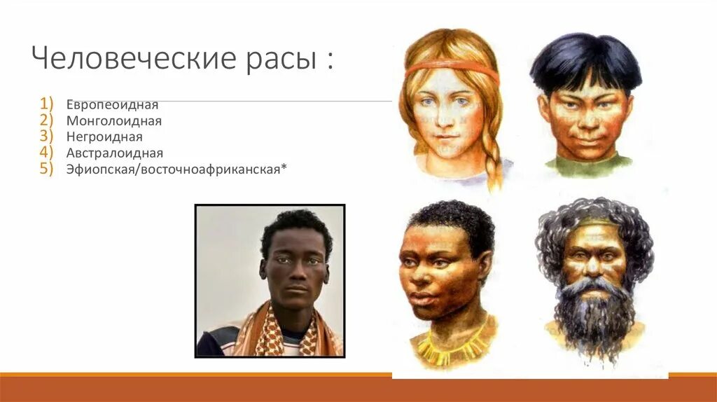 Негроидная раса описание. Темная кожа негроидов и австралоидов. Волосы негроидной расы. Негроидная раса северной америки. Представители негроидной расы.
