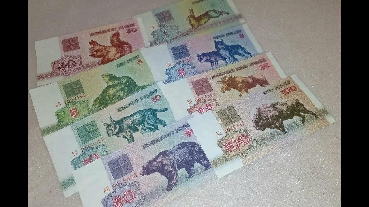 Белорусские рубли 1992. Белорусские деньги 1992 года. Белорусские зайчики 1992. Белорусский рубль 1992 года. Белорусская валюта зайчики.