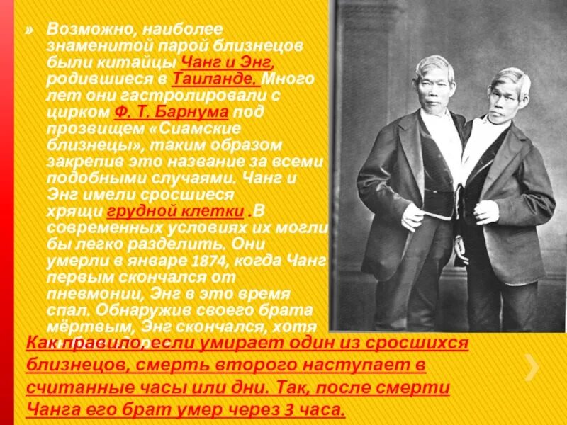 Близнецы чанг и энг. Чанг и энг Банкеры. Первые сиамские Близнецы Чанг и энг. Сиамские Близнецы китайцы Чанг и энг. Энг и Чанг Банкер сиамские Близнецы.